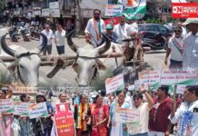 માંડવીમાં કોંગ્રેસના મોંઘવારી વિરોધી ધરણાં, બળદગાડીમાં રેલી કાઢી કર્યો સરકારનો વિરોધ