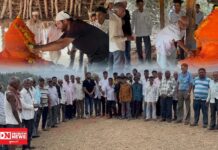 ધરમપુરના પીપરોળમાં મોટીઢોલડુંગરીના વડીલોની વરસાદી દેવની પરંપરાગત પૂજા: કલ્પેશ પટેલે કહ્યું હજુય આદિવાસી વારસો જીવંત છે !
