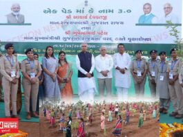 રાજ્યપાલ અને મુખ્યમંત્રીએ ખેરગામના આછવણી ગામમાં કર્યું વૃક્ષારોપણ, ‘એક પેડ માં કે નામ 3.0’ અભિયાનને આપ્યો વેગ