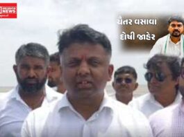 ચૈતર વસાવા દોષિત જાહેર થતાં ધવલ પટેલ શું બોલ્યા ?