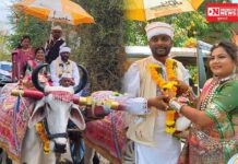 આધુનિક યુગમાં પરંપરાનો અનોખો વરઘોડો: વકીલ વરરાજા અને સિવિલ જોબ કરતી વધુ પરંપરાગત બળદગાડામાં નીકળ્યા