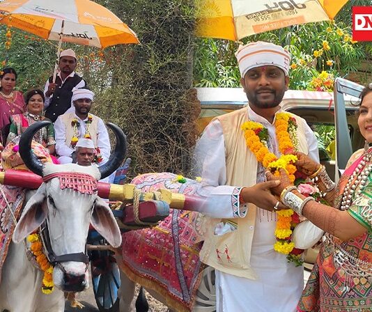 આધુનિક યુગમાં પરંપરાનો અનોખો વરઘોડો: વકીલ વરરાજા અને સિવિલ જોબ કરતી વધુ પરંપરાગત બળદગાડામાં નીકળ્યા