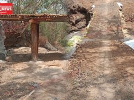 વાંસદાના ખાટા આંબા ગામની પ્રેરણાદાયી પહેલ: સરકારી રાહ જોવાને બદલે ગામલોકોએ જાતે બનાવ્યો પુલ