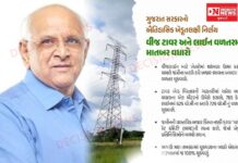 સરકારનો નિર્ણય: ખેડૂતોને વીજ લાઇન-ટાવર માટે હવે જમીનના બજારભાવના બમણા ભાવે વળતર