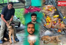 વફાદારીનું અજોડ ઉદાહરણ: દીપડા સાથે લડીને ડો. વિશાલના કામદારોનો જીવ બચાવનાર શ્વાન ‘નેક્ટર’નું બલિદાન અવિસ્મરણીય