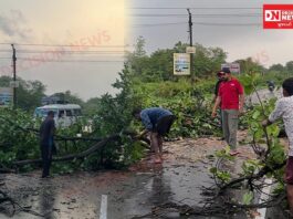 પારડી-નાશિક હાઈવે પર વિશાળ વડનું ઝાડ પડતાં ટ્રાફિક થંભ્યો, BJYM પારડી પ્રમુખ, R&B અને વન વિભાગની ત્વરિત કાર્યવાહીથી રસ્તો ખુલ્યો