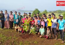 પર્યાવરણના રક્ષક બન્યા Gen Z યુવાનો: તાપીના ગામ થૂટીમાં 200 આંબાની કલમોનું સામૂહિક વાવેતર