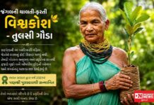 જંગલના હરતા-ફરતા વિશ્વકોશ’: પદ્મશ્રી તુલસી ગૌડાનો પ્રકૃતિ પ્રેમ અને પર્યાવરણ સંરક્ષણનું અનન્ય યોગદાન