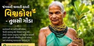 જંગલના હરતા-ફરતા વિશ્વકોશ’: પદ્મશ્રી તુલસી ગૌડાનો પ્રકૃતિ પ્રેમ અને પર્યાવરણ સંરક્ષણનું અનન્ય યોગદાન