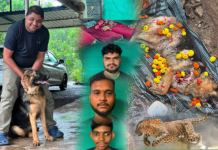 વફાદારીનું અજોડ ઉદાહરણ: દીપડા સાથે લડીને ડો. વિશાલના કામદારોનો જીવ બચાવનાર શ્વાન ‘નેક્ટર’નું બલિદાન અવિસ્મરણીય