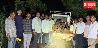 વ્યારા વન વિભાગનું ધામણદેવીના અનામત જંગલમાં દરોડાનું સપાટો: ૨૨ નંગ ખેરના લાકડાનો જથ્થો જપ્ત