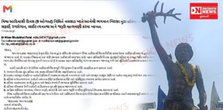 વિશ્વ આદિવાસી દિવસ નિમિત્તે વલસાડમાં ક્રાંતિકારી બિરસા મુંડાની પ્રતિમા પરિસરની યોગ્ય જાળવણી માટે કલેક્ટરને રજૂઆત