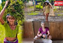 આદિવાસી સંસ્કૃતિ હંમેશાં પ્રકૃતિ અને વડીલો પ્રત્યેના આદર પર ટકેલી રહી છે…