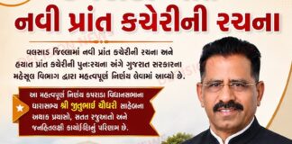 કપરાડાના સર્વાંગી વિકાસ તરફનું વધુ એક મહત્વપૂર્ણ પગલું: નવી પ્રાંત કચેરીની રચના શું કહ્યું જીતુભાઈ ચૌધરી…