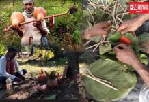 આદિવાસી પરંપરા અને સાંસ્કૃતિક વારસાને કેવળ ‘અંધશ્રદ્ધા’નું લેબલ લગાવીને નજરઅંદાજ કરી દેવાએ અપરિપક્વ વિચારસરણી છે.