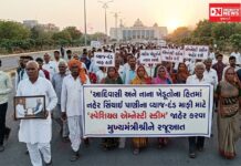 આદિવાસી નાના ખેડૂતોના હિતમાં નહેર સિંચાઈ પાણીના વ્યાજ-દંડ માફી માટે ‘સ્પેશિયલ એમ્નેસ્ટી સ્કીમ’ જાહેર કરવા CM ને રજૂઆત