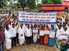 મલ્ટીપલ સ્ક્લેરોસિસના દર્દીઓ માટે PM-JAY હેઠળ કાયમી સ્પેશિયલ પેકેજ અને કેશલેસ સારવારની માંગ: ડો. નિરવની CMને રજૂઆત