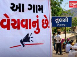 આ આખું ગામ વેચવાનું છે!”: સિંચાઈના પાણી માટે તરસતા મહારાષ્ટ્રના તુલસી ગામના ખેડૂતો