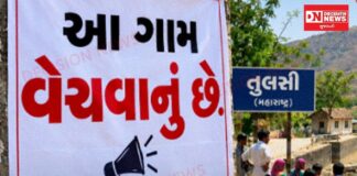 આ આખું ગામ વેચવાનું છે!”: સિંચાઈના પાણી માટે તરસતા મહારાષ્ટ્રના તુલસી ગામના ખેડૂતો