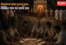 વાંસદાના પીપલખેડ ગામમાં આંકડા જુગારનું દૂષણના દ્રશ્યો: શિક્ષિત ગામની શાખ પર લાગ્યો દાગ ! કોણ છે આંકડા જુગારનો આકા ?