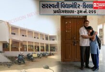 વલસાડમાં કિલ્લા-પારડી સરસ્વતી વિદ્યામંદિરના આચાર્ય સામે નાબાલિક વિદ્યાર્થિની સાથે અયોગ્ય વર્તનના આક્ષેપ, શિક્ષણ જગતમાં ખળભળાટ